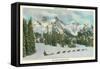 Dog Team, Paradise Valley, Rainier National Park-null-Framed Stretched Canvas