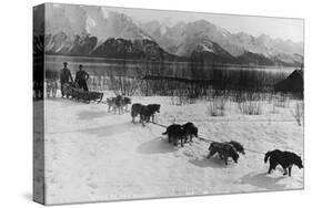 Dog Team Photograph - Alaska-Lantern Press-Stretched Canvas