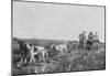 Dog Team pulling a Railroad Cart Photograph - Nome, AK-null-Mounted Poster