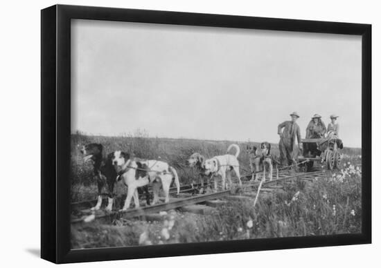 Dog Team pulling a Railroad Cart Photograph - Nome, AK-null-Framed Poster