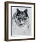 Dog Ten-Rusty Frentner-Framed Giclee Print