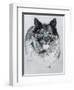 Dog Ten-Rusty Frentner-Framed Giclee Print