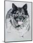 Dog Ten-Rusty Frentner-Mounted Giclee Print