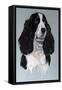 Dog Three-Rusty Frentner-Framed Stretched Canvas