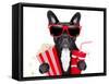 Dog to the Movies-Javier Brosch-Framed Stretched Canvas