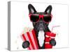 Dog to the Movies-Javier Brosch-Stretched Canvas
