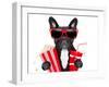 Dog to the Movies-Javier Brosch-Framed Photographic Print