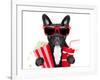 Dog to the Movies-Javier Brosch-Framed Photographic Print