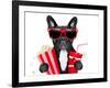 Dog to the Movies-Javier Brosch-Framed Photographic Print