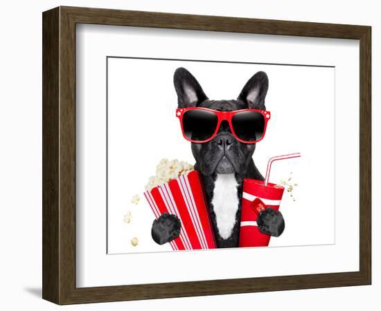 Dog to the Movies-Javier Brosch-Framed Photographic Print