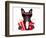 Dog to the Movies-Javier Brosch-Framed Photographic Print