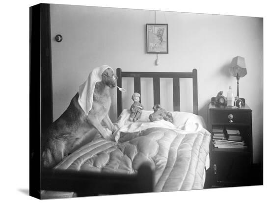 Stretched Canvas Print, , large