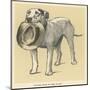 Dog Trained to Fetch His Master's Hat-Cecil Aldin-Mounted Art Print