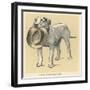 Dog Trained to Fetch His Master's Hat-Cecil Aldin-Framed Art Print