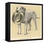 Dog Trained to Fetch His Master's Hat-Cecil Aldin-Framed Stretched Canvas