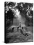 Dog Trainer Paul Bakewell Iii Taking Dogs for a Run-null-Stretched Canvas