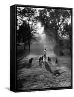 Dog Trainer Paul Bakewell Iii Taking Dogs for a Run-null-Framed Stretched Canvas