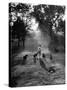 Dog Trainer Paul Bakewell Iii Taking Dogs for a Run-null-Stretched Canvas