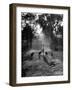 Dog Trainer Paul Bakewell Iii Taking Dogs for a Run-null-Framed Photographic Print