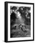 Dog Trainer Paul Bakewell Iii Taking Dogs for a Run-null-Framed Photographic Print