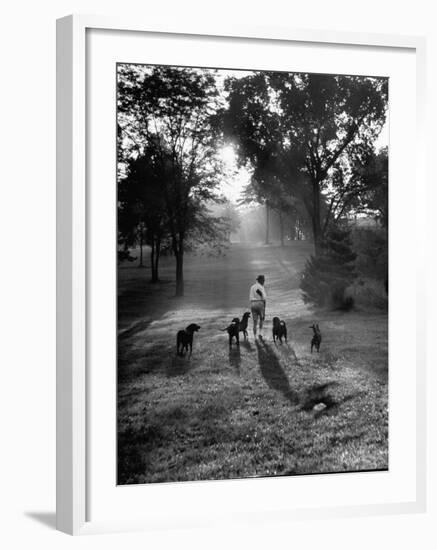 Dog Trainer Paul Bakewell Iii Taking Dogs for a Run-null-Framed Photographic Print