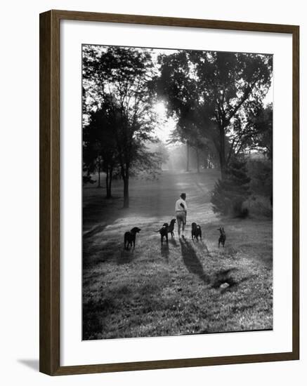 Dog Trainer Paul Bakewell Iii Taking Dogs for a Run-null-Framed Photographic Print