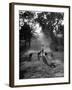 Dog Trainer Paul Bakewell Iii Taking Dogs for a Run-null-Framed Photographic Print