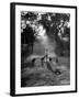 Dog Trainer Paul Bakewell Iii Taking Dogs for a Run-null-Framed Photographic Print