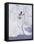 Dog Transport, Greenland, Polar Regions-Jack Jackson-Framed Stretched Canvas