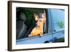 Dog Travel by Car Looking out of the Window-Mariia Masich-Framed Photographic Print