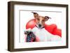 Dog Tv-Javier Brosch-Framed Photographic Print