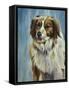 Dog Twelve-Rusty Frentner-Framed Stretched Canvas