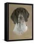 Dog Two-Rusty Frentner-Framed Stretched Canvas