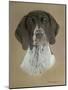 Dog Two-Rusty Frentner-Mounted Giclee Print