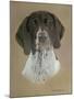 Dog Two-Rusty Frentner-Mounted Giclee Print
