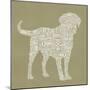 Dog Type 1A-Stella Bradley-Mounted Premium Giclee Print