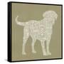 Dog Type 1A-Stella Bradley-Framed Stretched Canvas