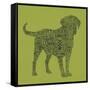 Dog Type 1D-Stella Bradley-Framed Stretched Canvas