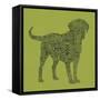 Dog Type 1D-Stella Bradley-Framed Stretched Canvas