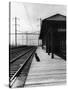 Dog Waiting at Empty Railroad Platform-null-Stretched Canvas