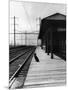 Dog Waiting at Empty Railroad Platform-null-Mounted Premium Photographic Print