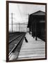 Dog Waiting at Empty Railroad Platform-null-Framed Photographic Print