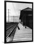 Dog Waiting at Empty Railroad Platform-null-Framed Photographic Print