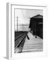 Dog Waiting at Empty Railroad Platform-null-Framed Photographic Print