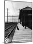 Dog Waiting at Empty Railroad Platform-null-Mounted Photographic Print