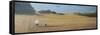 Dog Walk, Holwell-Lincoln Seligman-Framed Stretched Canvas
