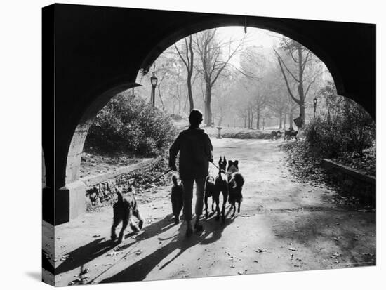 Dog Walker in Central Park-Alfred Eisenstaedt-Stretched Canvas