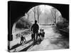 Dog Walker in Central Park-Alfred Eisenstaedt-Stretched Canvas