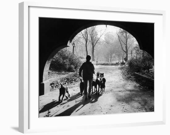 Dog Walker in Central Park-Alfred Eisenstaedt-Framed Photographic Print