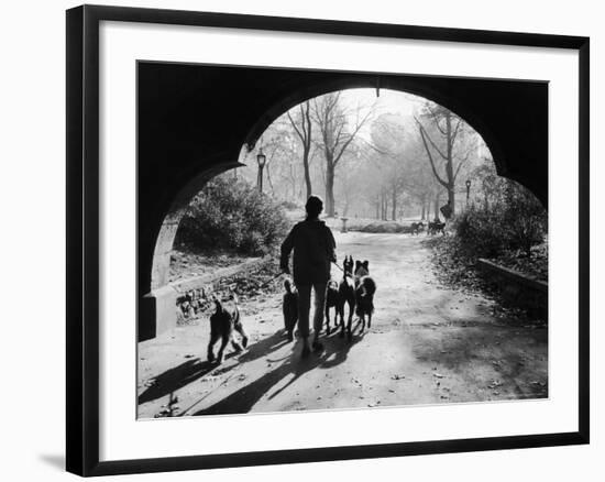 Dog Walker in Central Park-Alfred Eisenstaedt-Framed Photographic Print